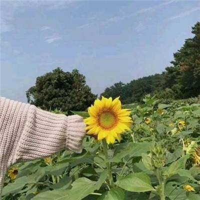 天玄剑道手游下载